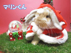 141202a.gif