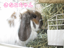 141205d1.gif