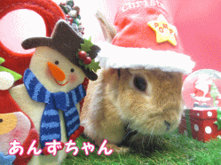 141206a1.gif
