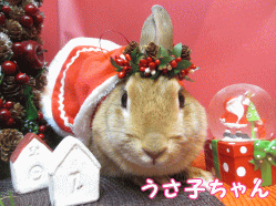 141206e1.gif