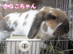 141206f1.gif