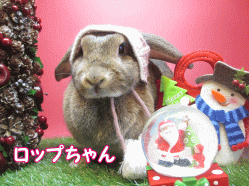 141207a.gif