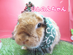 141207c.gif