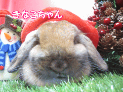 141207g.gif