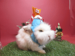 141207j.gif