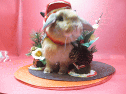 141207z.gif