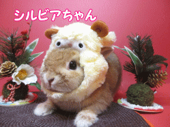 141208c.gif