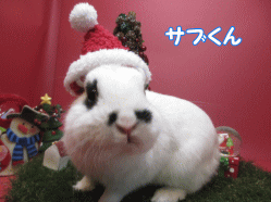 141208e.gif