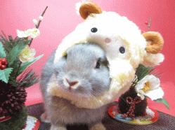 141208h.gif