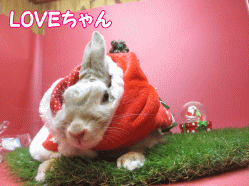 141209c.gif