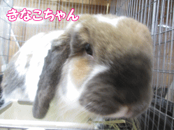 141209e.gif