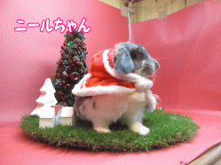 141211a.gif