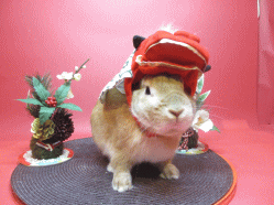 141211d.gif