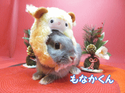 141213a.gif