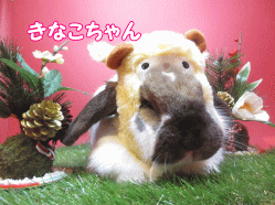 141213e.gif
