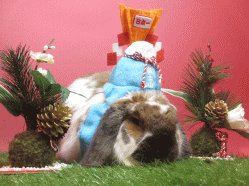 141213f.gif