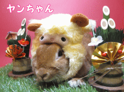 141214a1.gif