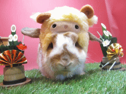 141214d2.gif
