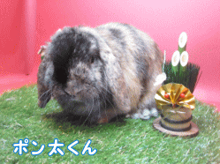 141214e1.gif