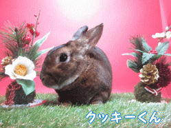 141214f1.gif