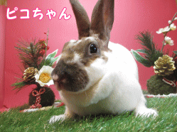 141214h1.gif
