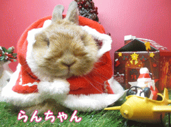 141214j1.gif
