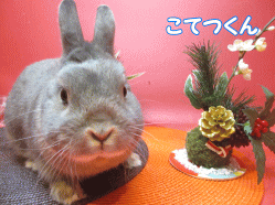 141216a.gif