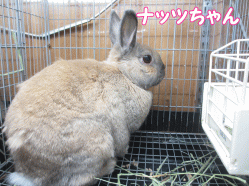141216i.gif