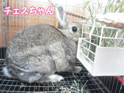 141216k.gif