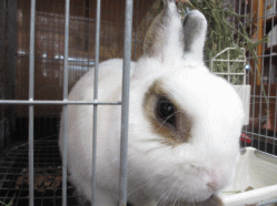 141218d.gif