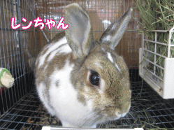 141218e.gif