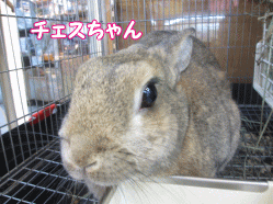 141218i.gif