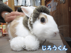 141219a1.gif