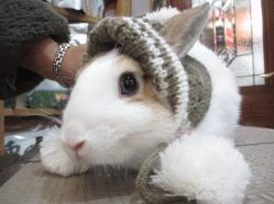 141219a2.gif