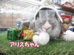 141220a.gif