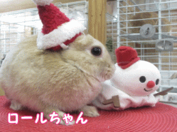 141221c1.gif