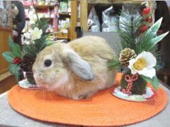 141221e2.gif