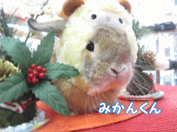 141222b.gif