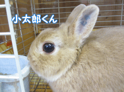 141222g.gif