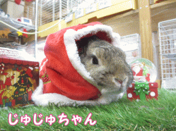 141223c1.gif