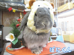 141223d1.gif