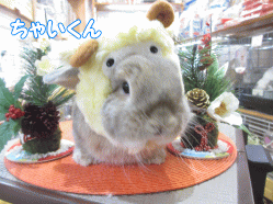 141225a.gif