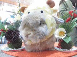 141225b.gif