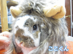 141226a.gif