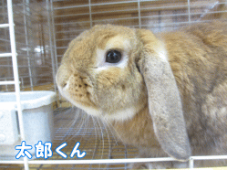 141226e.gif