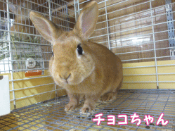 141226f.gif