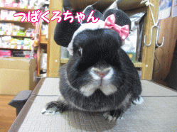 141227a.gif