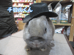 141227d.gif