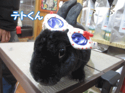 141227e.gif