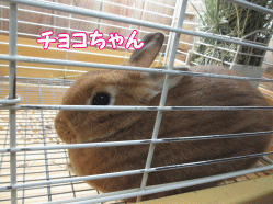 141227m.gif